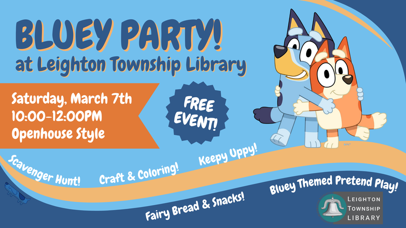 Bluey Party