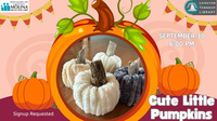 Cute Little Pumpkins