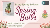 Spring Bulbs