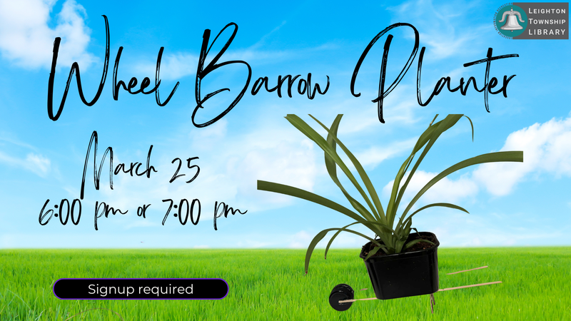 Wheel Barrow Planter