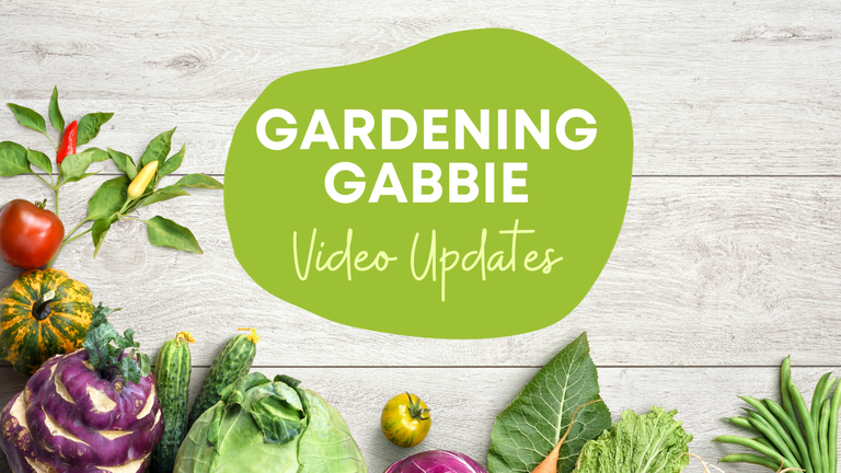 Gardening Gabbie