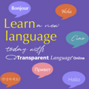 transparent language icon.png